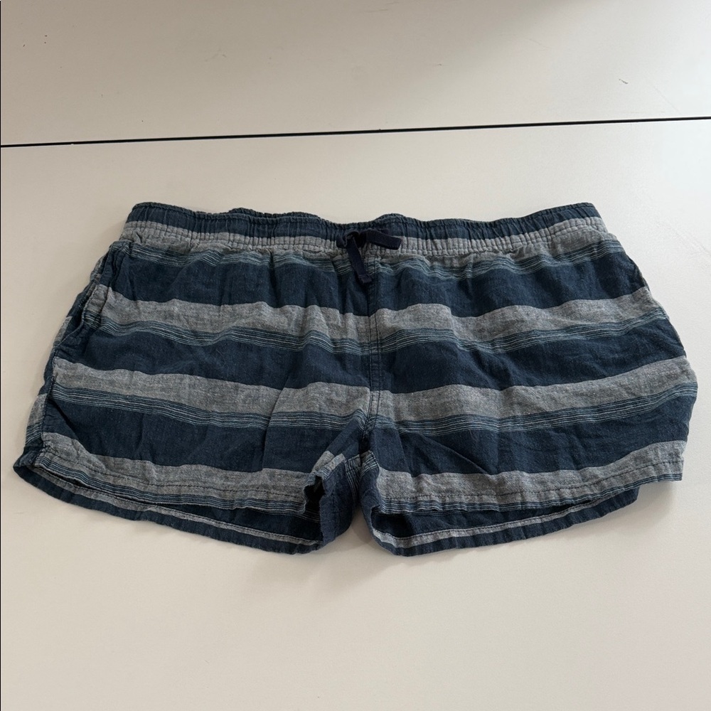 Patagonia Blue and Gray Striped Athletic Shorts